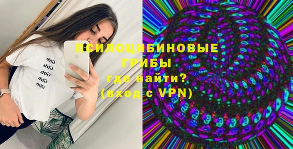 спиды Алексеевка