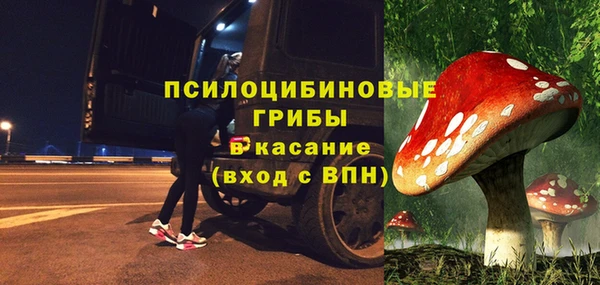 a pvp Алексин