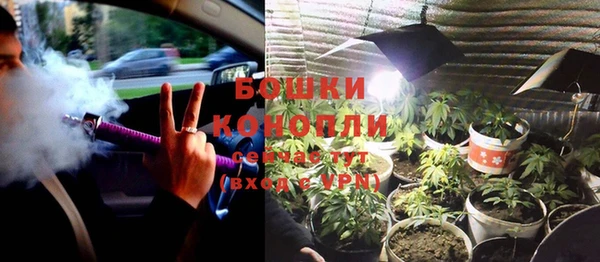ПСИЛОЦИБИНОВЫЕ ГРИБЫ Абдулино