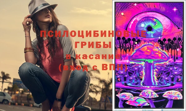 спиды Алексеевка