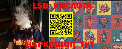 гашик Нарткала