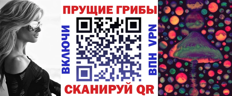 мега зеркало  Якутск  Псилоцибиновые грибы мицелий 